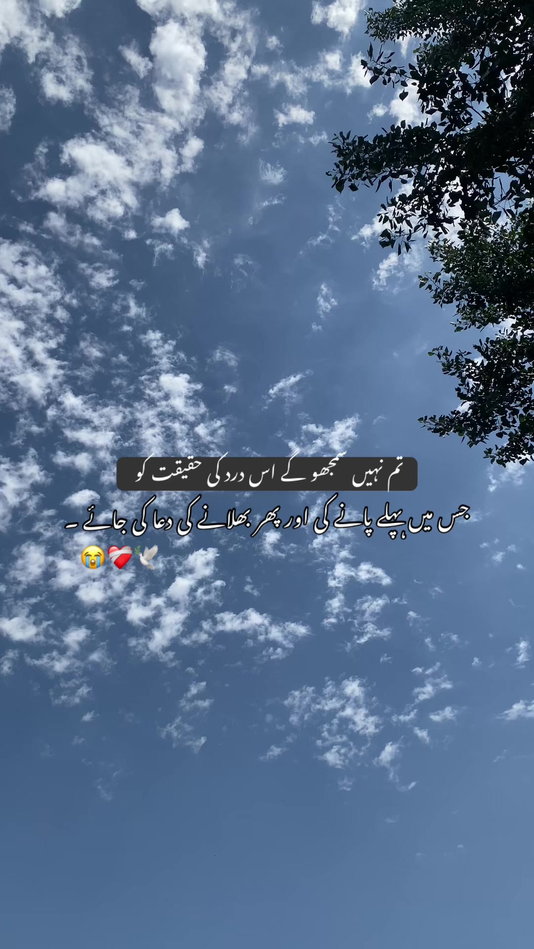 @احمد شاہ