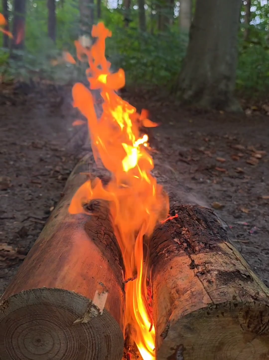 @winter_and_bushcraft