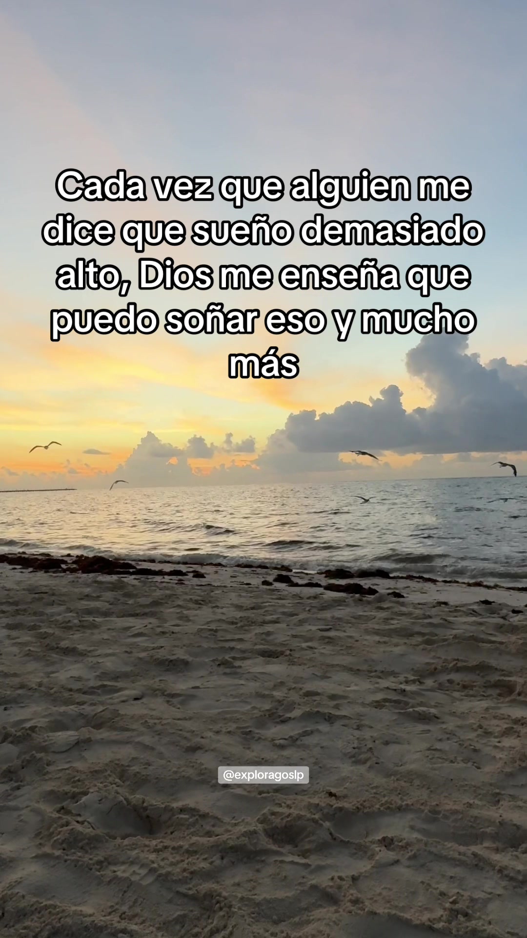 @explorago_slp