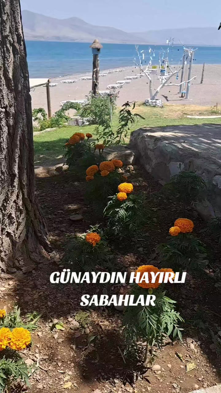 @Hasan Yılmaz
