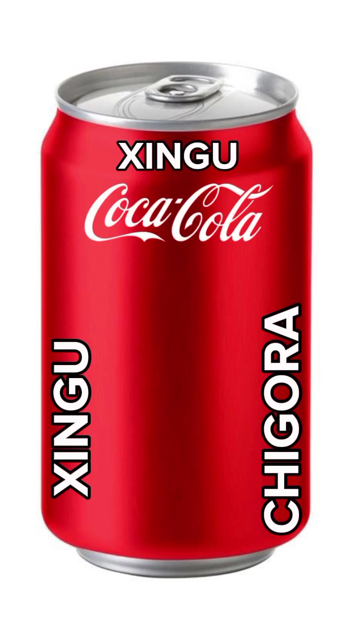 @XINGU