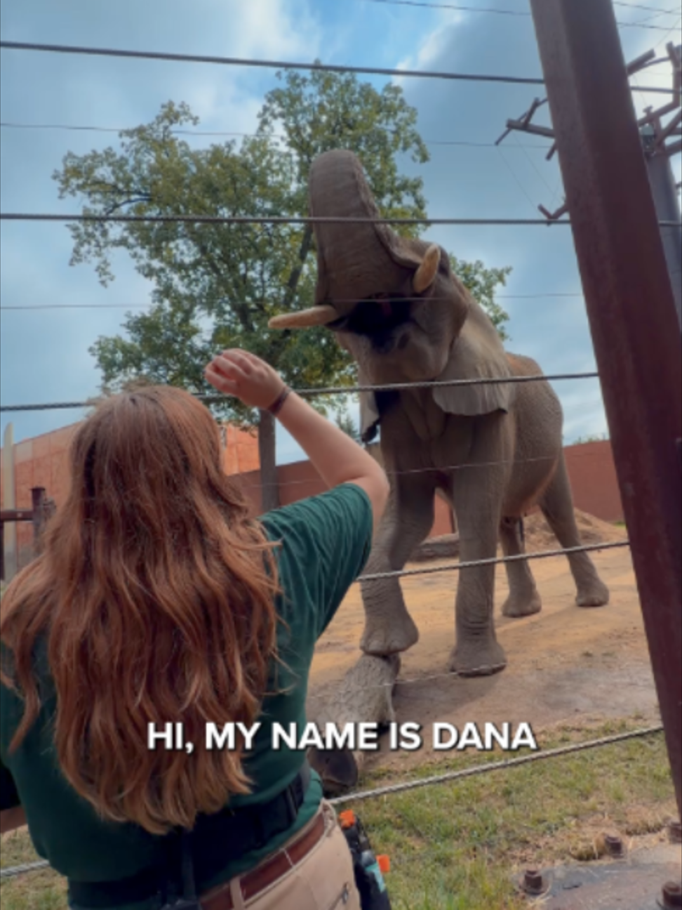 @The Toledo Zoo