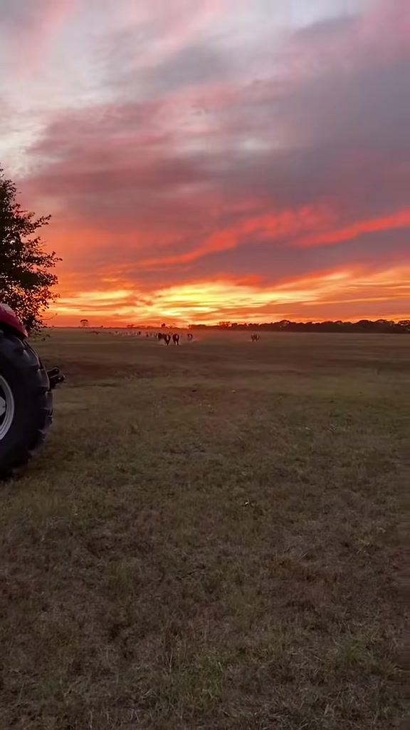 @The V6 Ranch