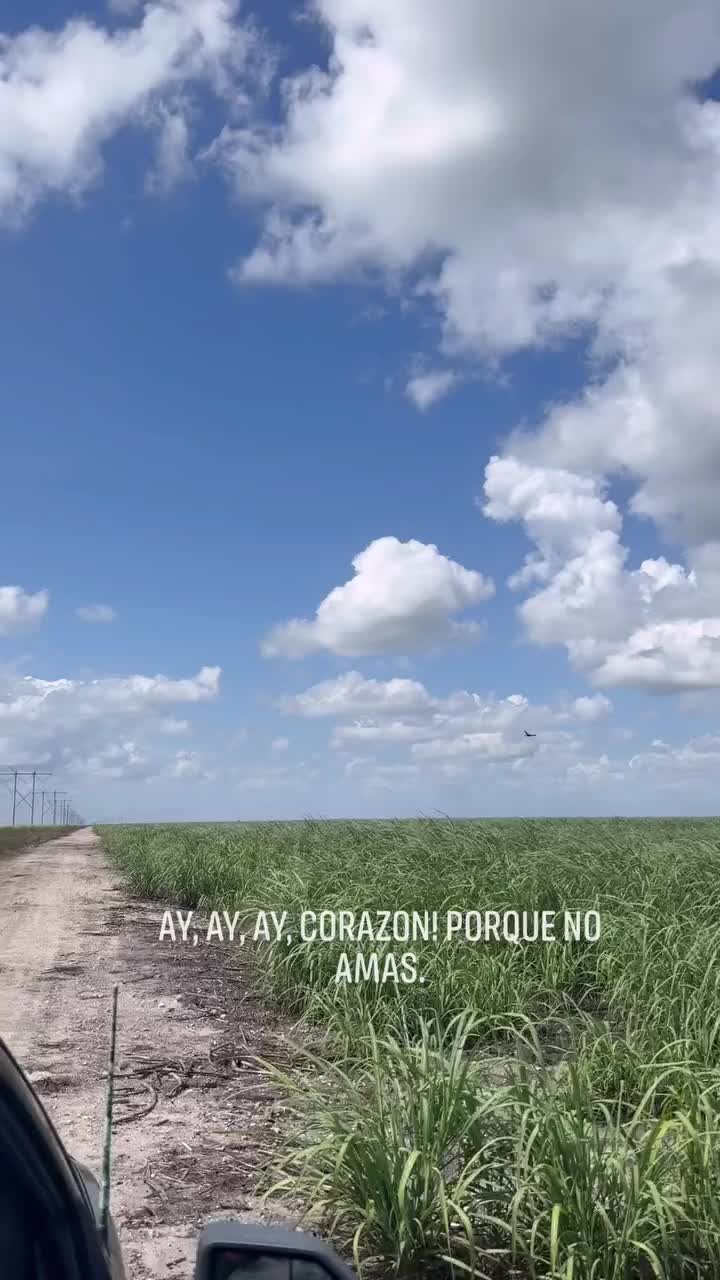 @🍀Hernández.JR (:🍀😎🥷