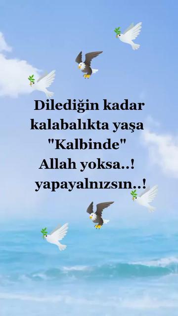 @Yildiz Rizeli 53 34