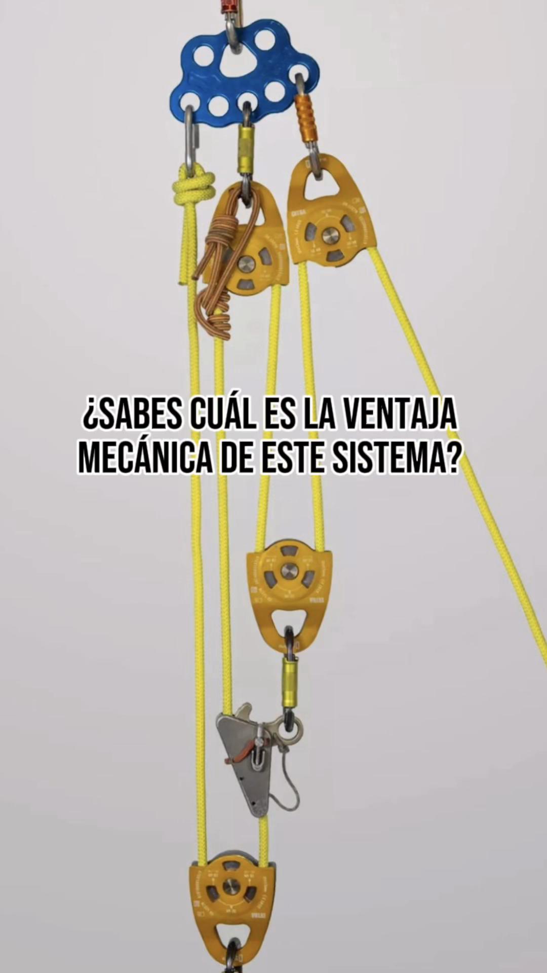 @SafeLine Mx