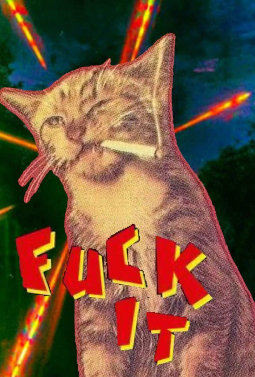 @๐ ๐ฐ ๐ ๐ณ ๐ ๐ธ ๐ฐ ๐ฝ ๐ธ๐ซฏ