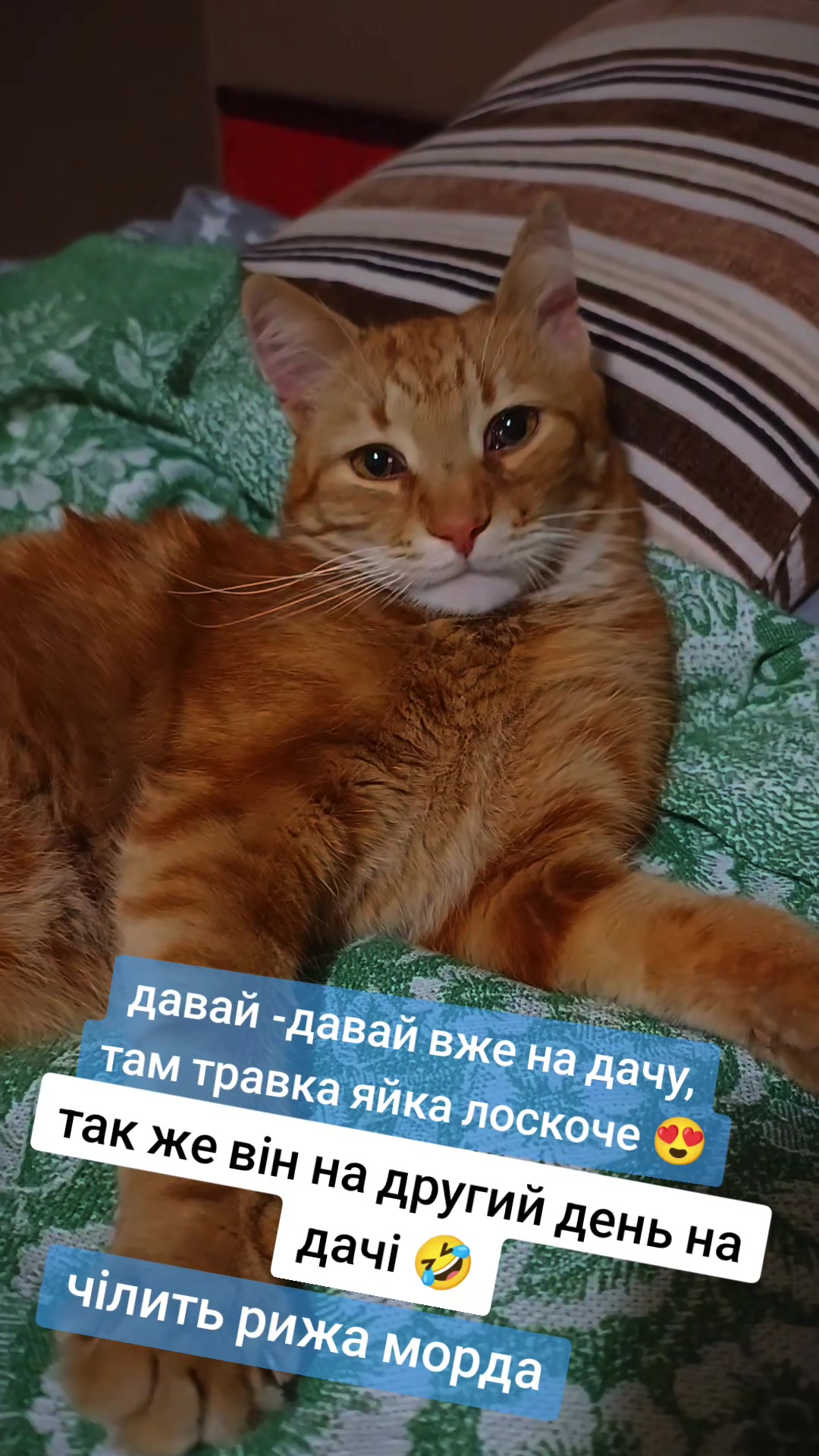 @ксюшик💙💛
