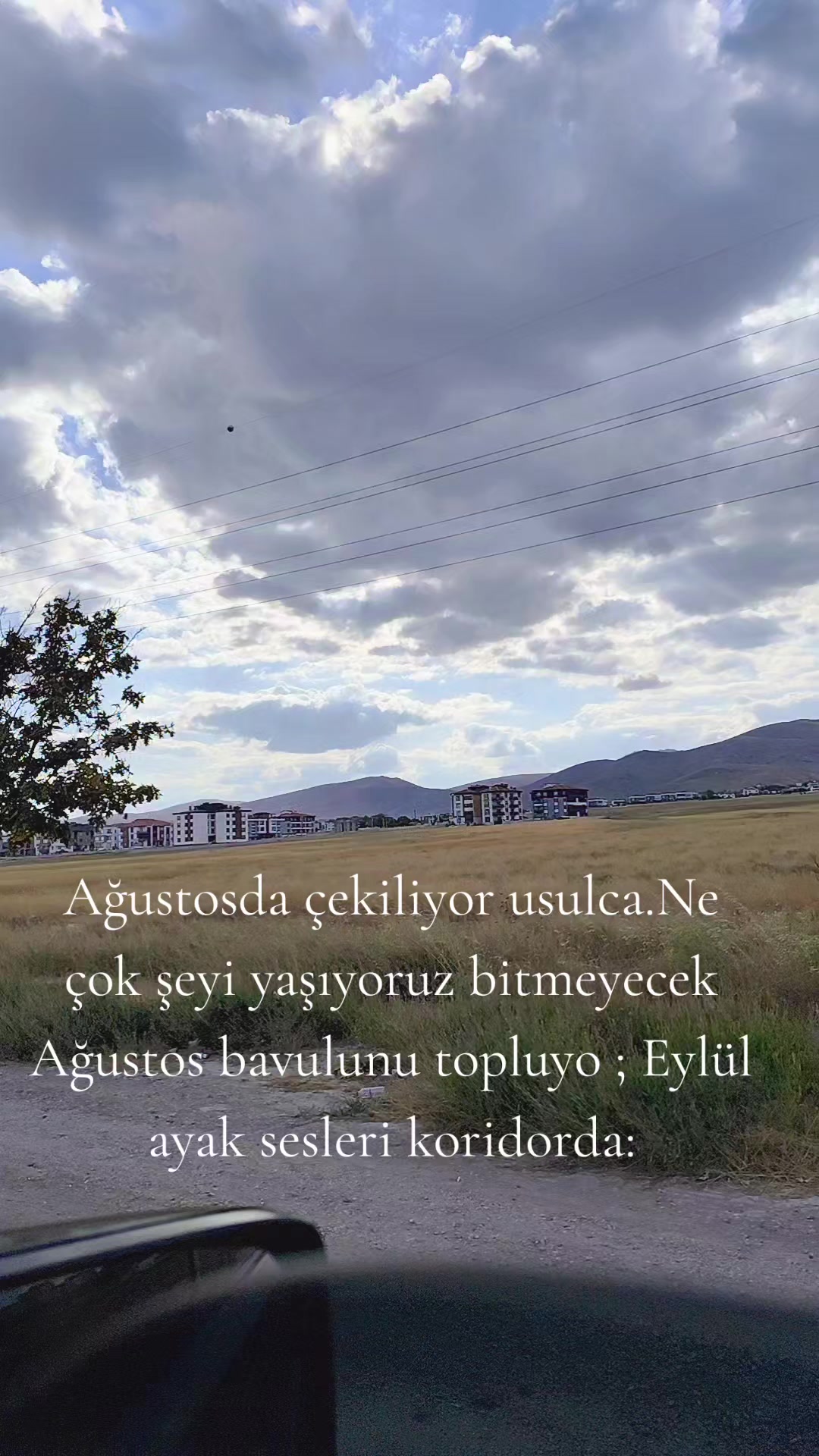 @Zehra zehra