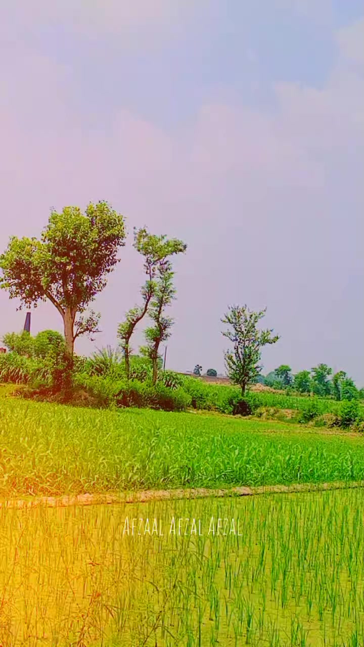 @{🦅AFZAL مہر 💀}۔