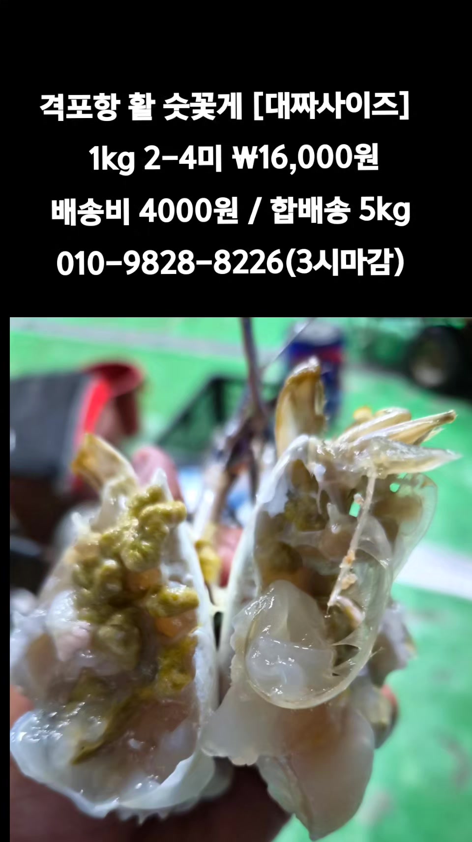 @똑손