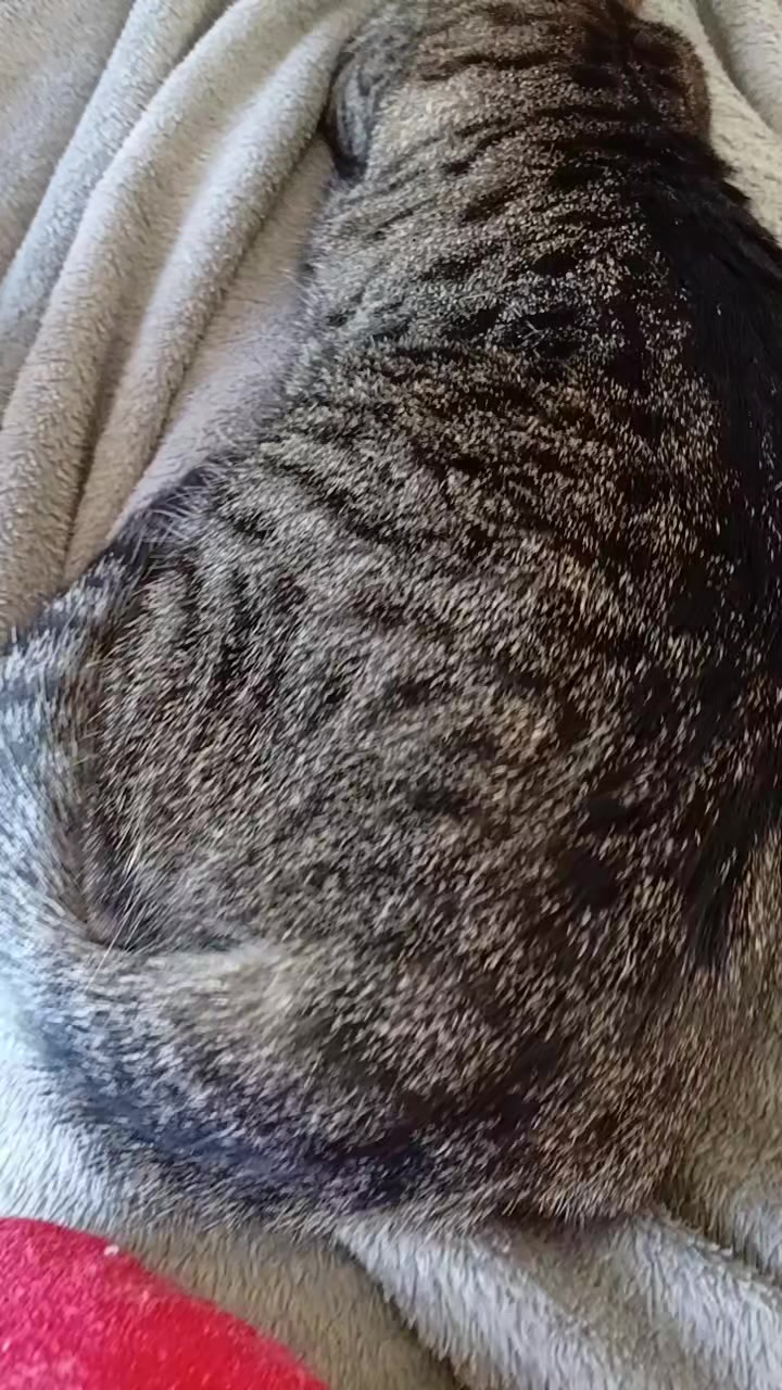 @cissarossato🍒😻