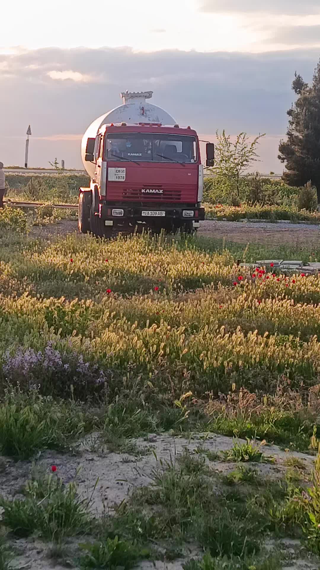 @nodir1143
