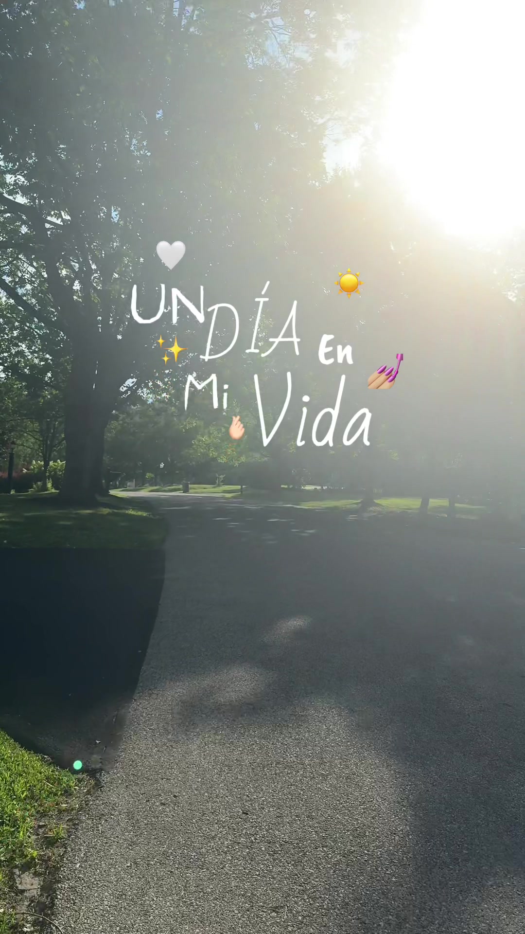 @M A R I A  V E N E C I A