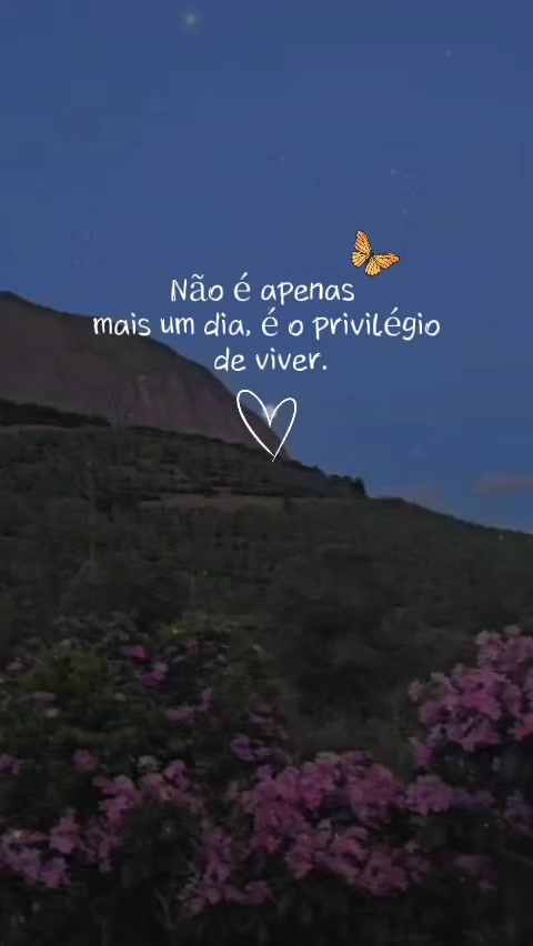 @Flávia Freitas