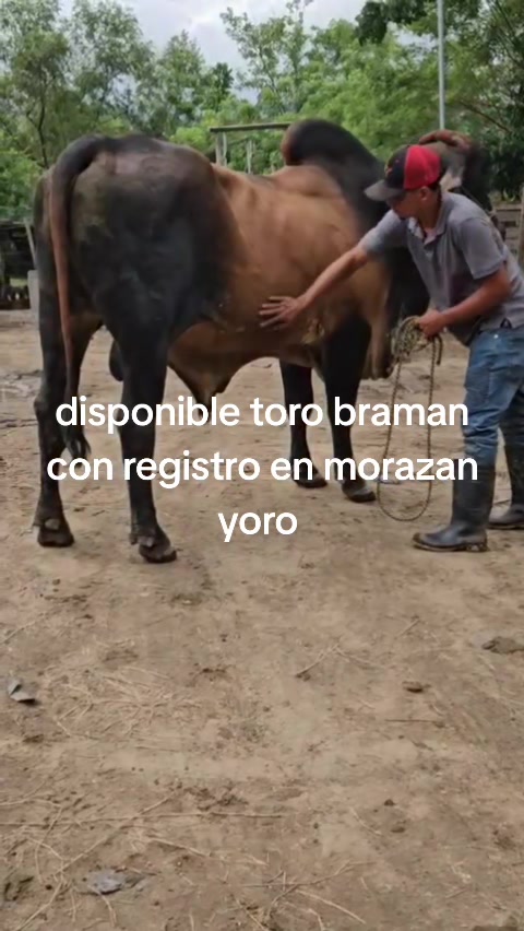 @maykel Mej&iacute;a