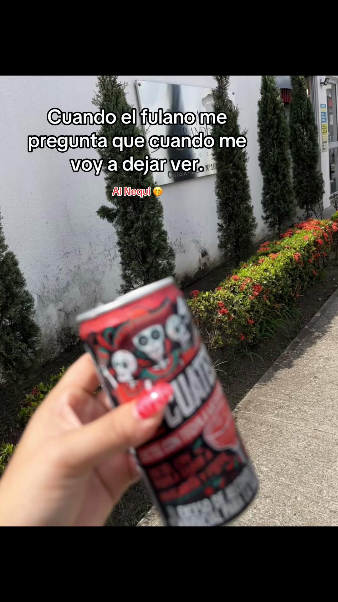 @lili🌸