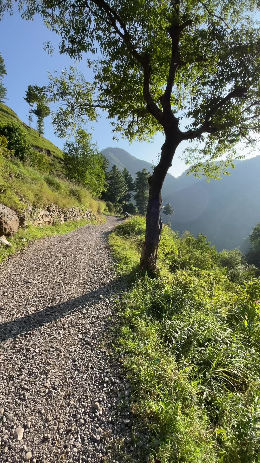 @BANJARA