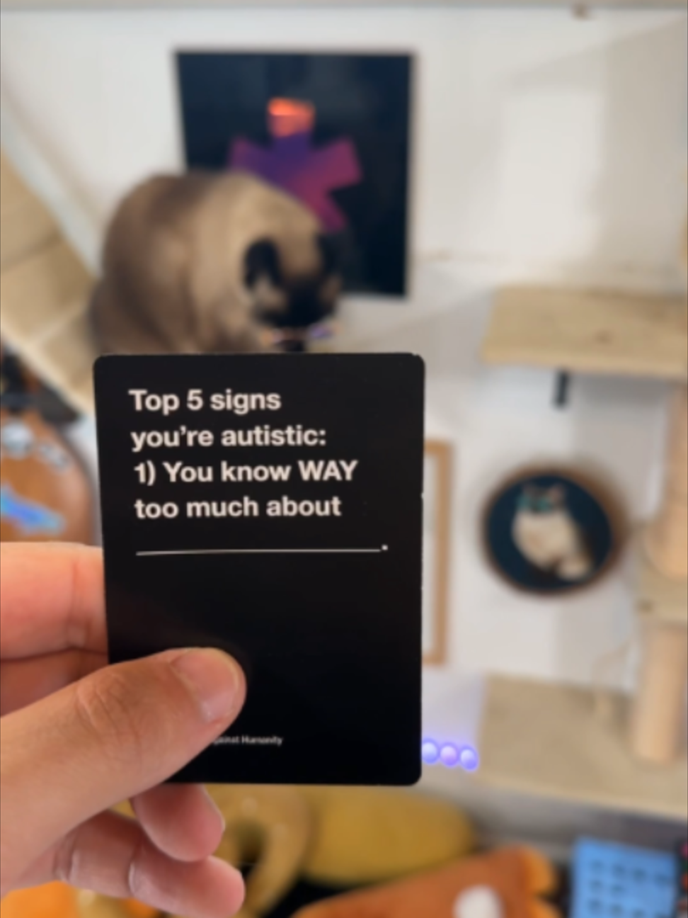 @bap.kat