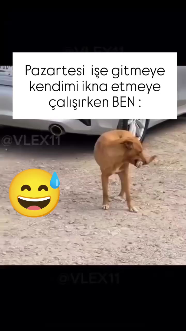 @chucklecorner
