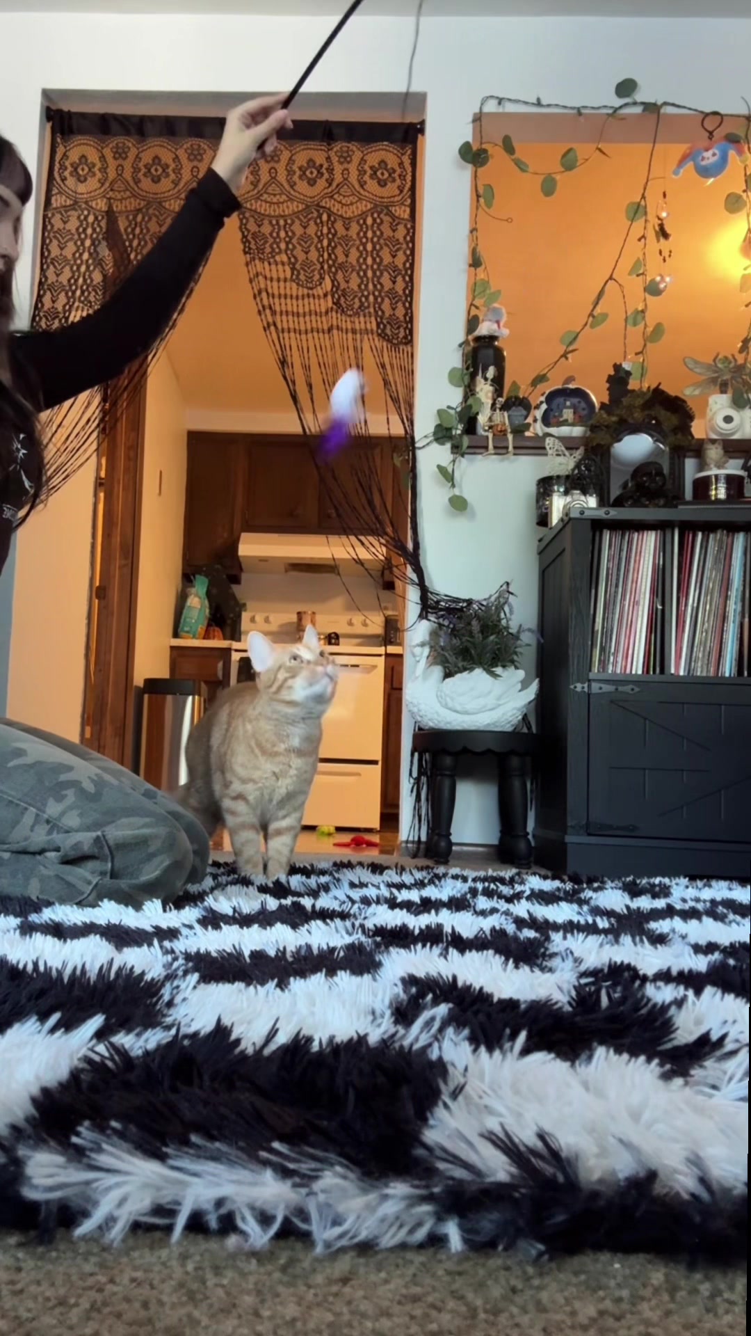 @paige 🎧🐈&zwj;⬛🎞️