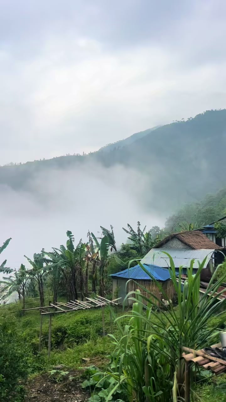 @Rajin Thulung Rai