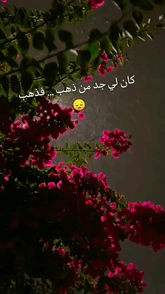 @𝐷𝑖𝑎𝑏-𝐴-𝑆𝑎𝑚𝑖𝑟
