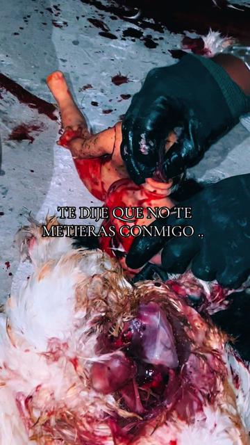 @Miguel Espiritu29