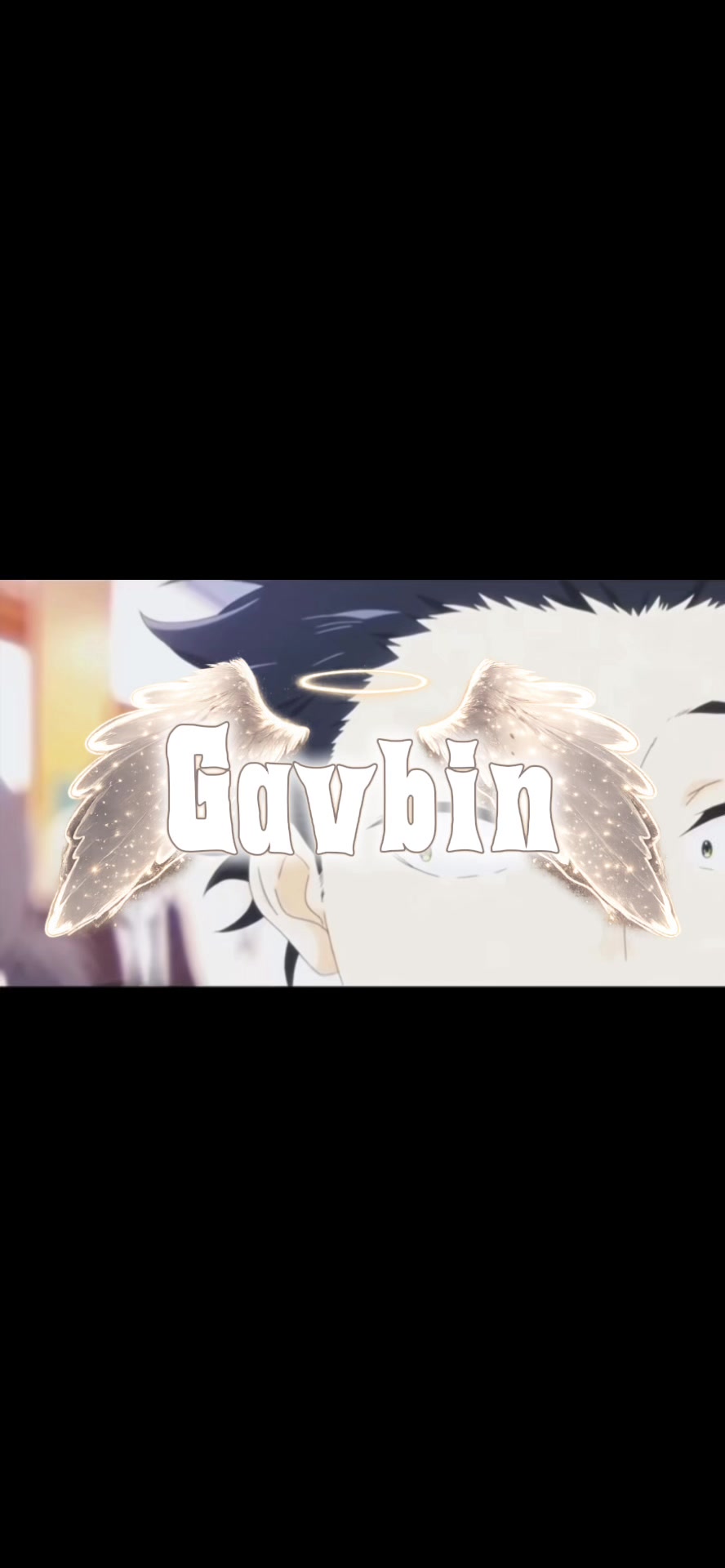 @gavbin5