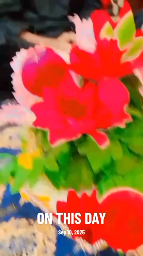 @𝑵𝒂𝒗𝒆𝒆𝒅 Bin 𝑨𝒔𝒉𝒓𝒂𝒇