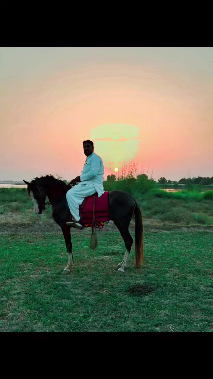 @Zaheer Farooqi