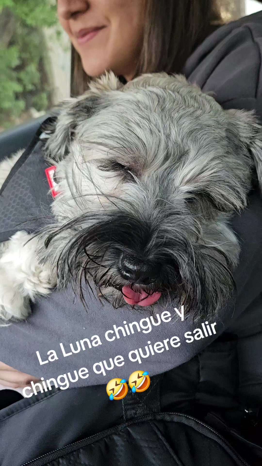 @Beatriz Ortega