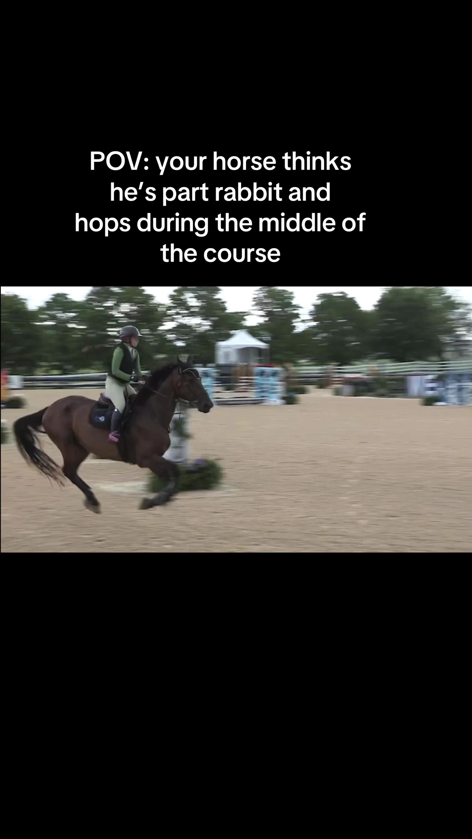 @Dakota Sheikh