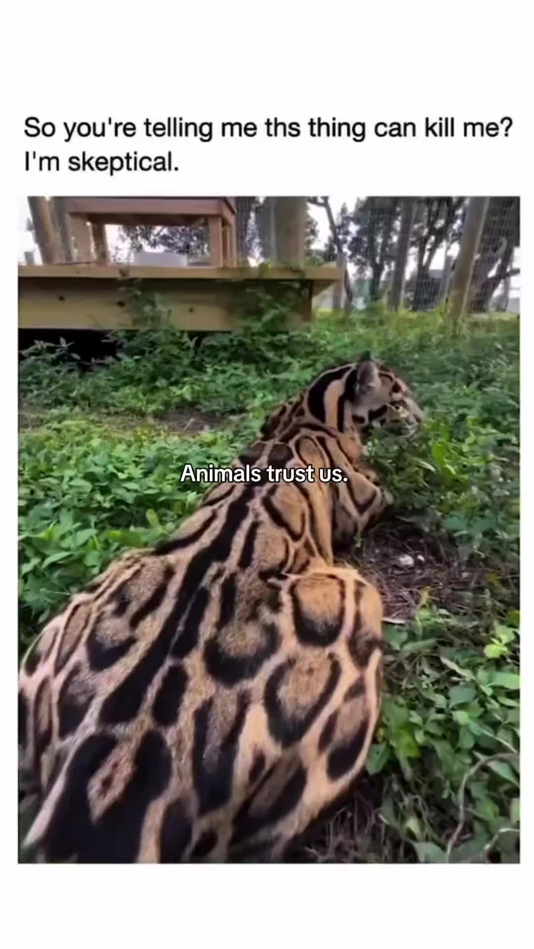 @WildwonderzZzz