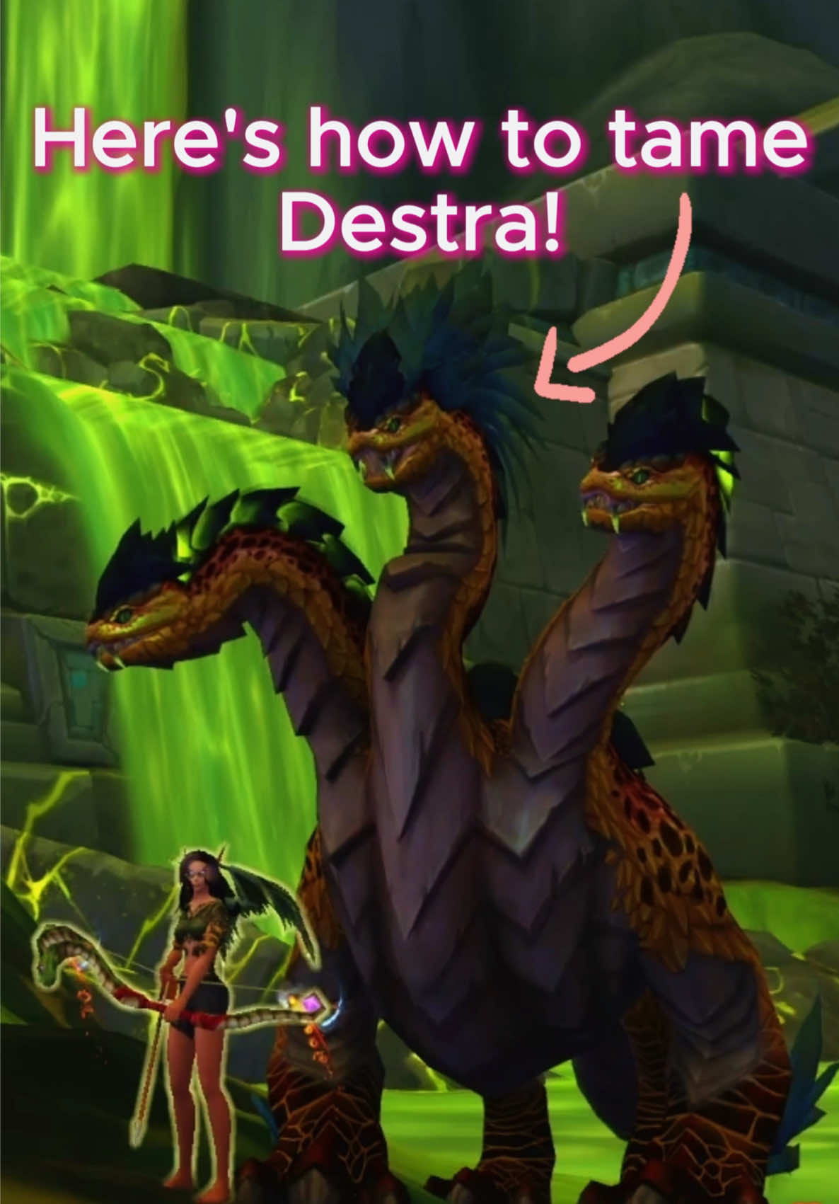@TabbyKatGaming | WoW Guides