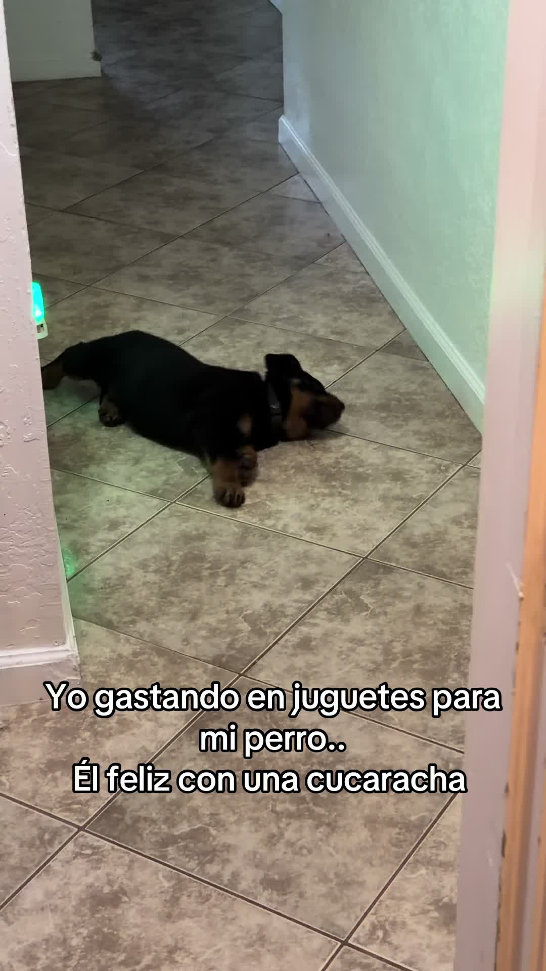 @Nazario Obledo Jr.