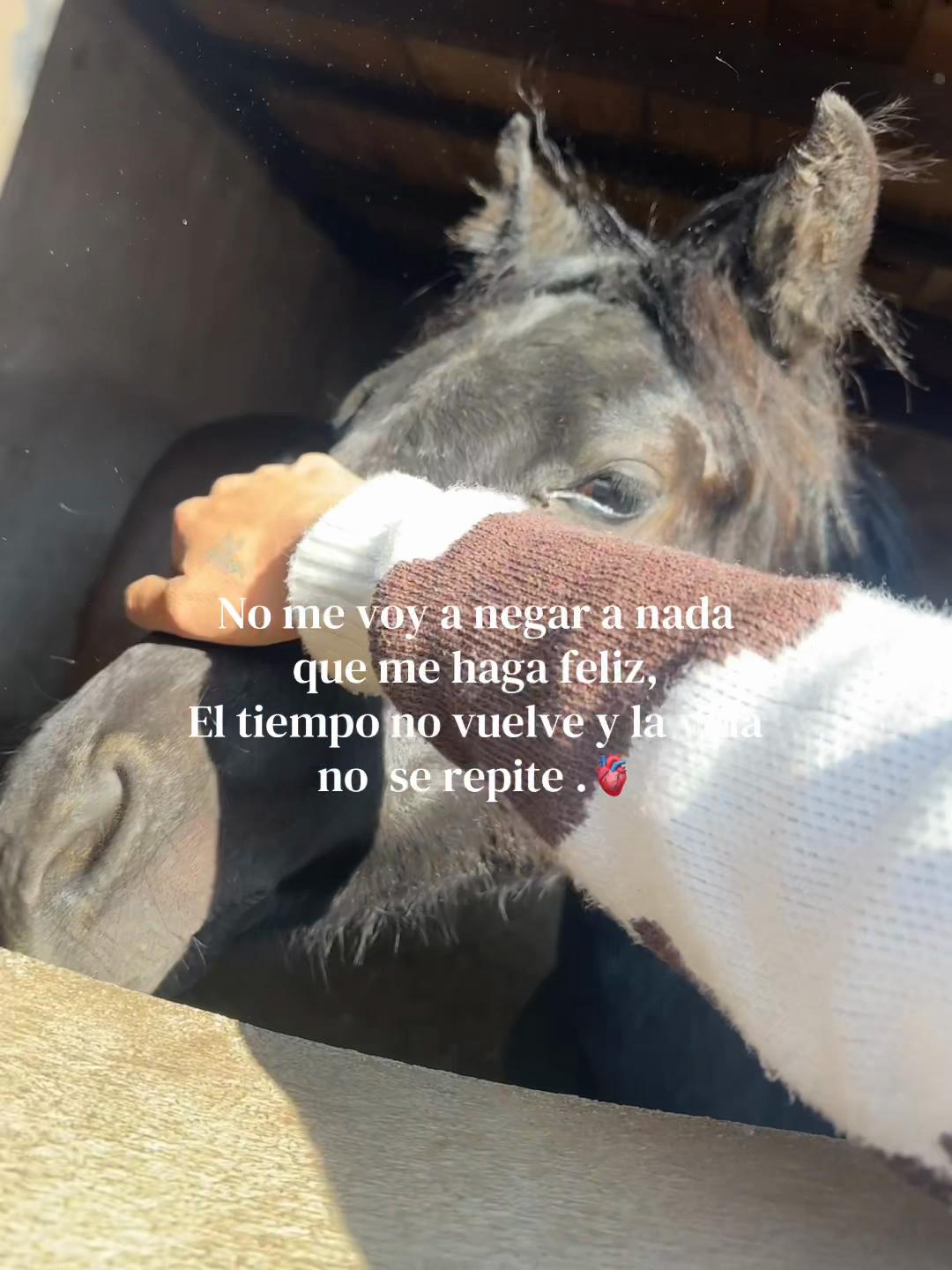 @ElsaYariela