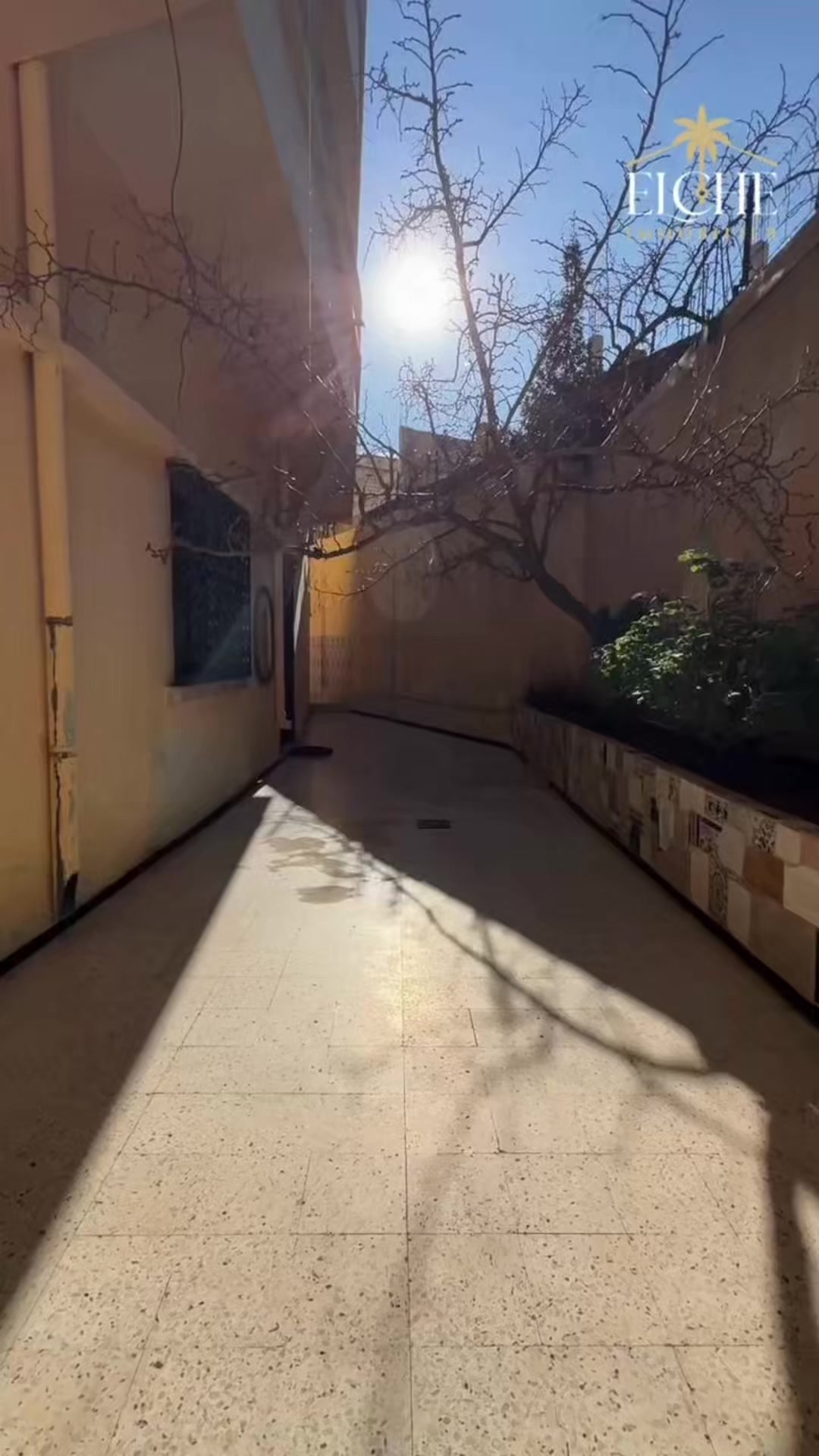 @Elcheimmobilier_oran