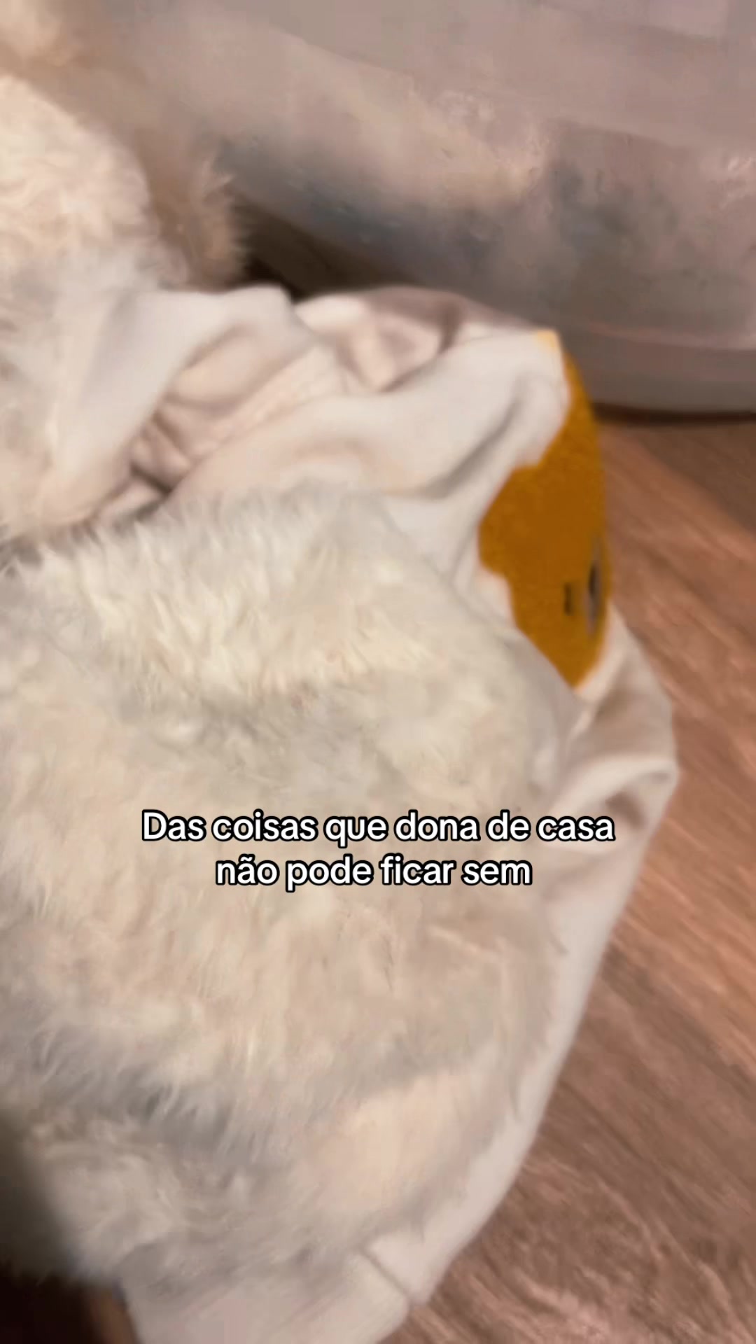 @sua.saudeofc