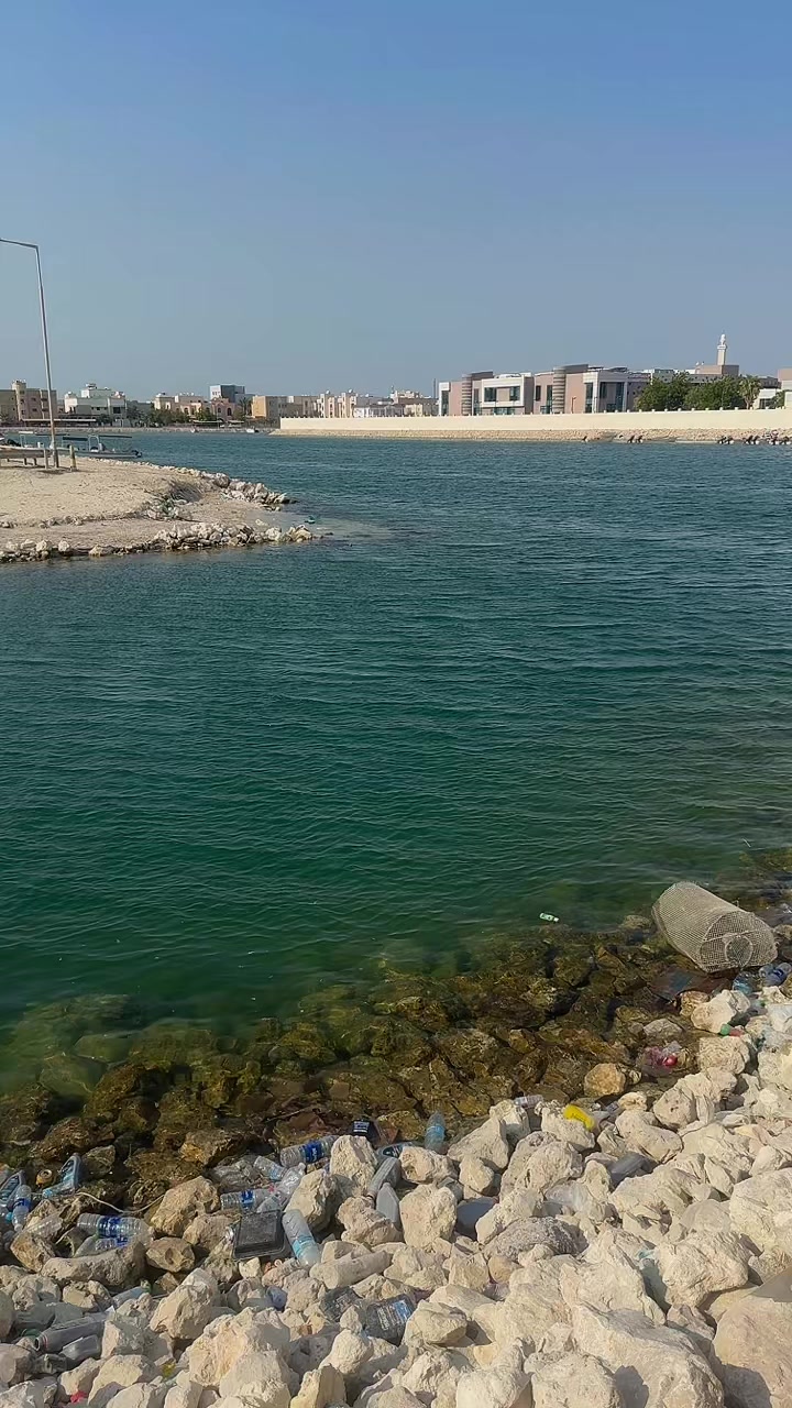 @دانه المطوع