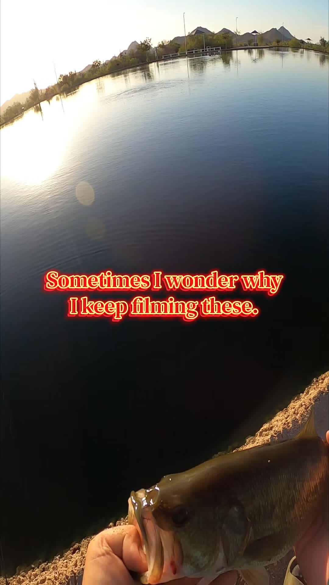 @HooksetAZ