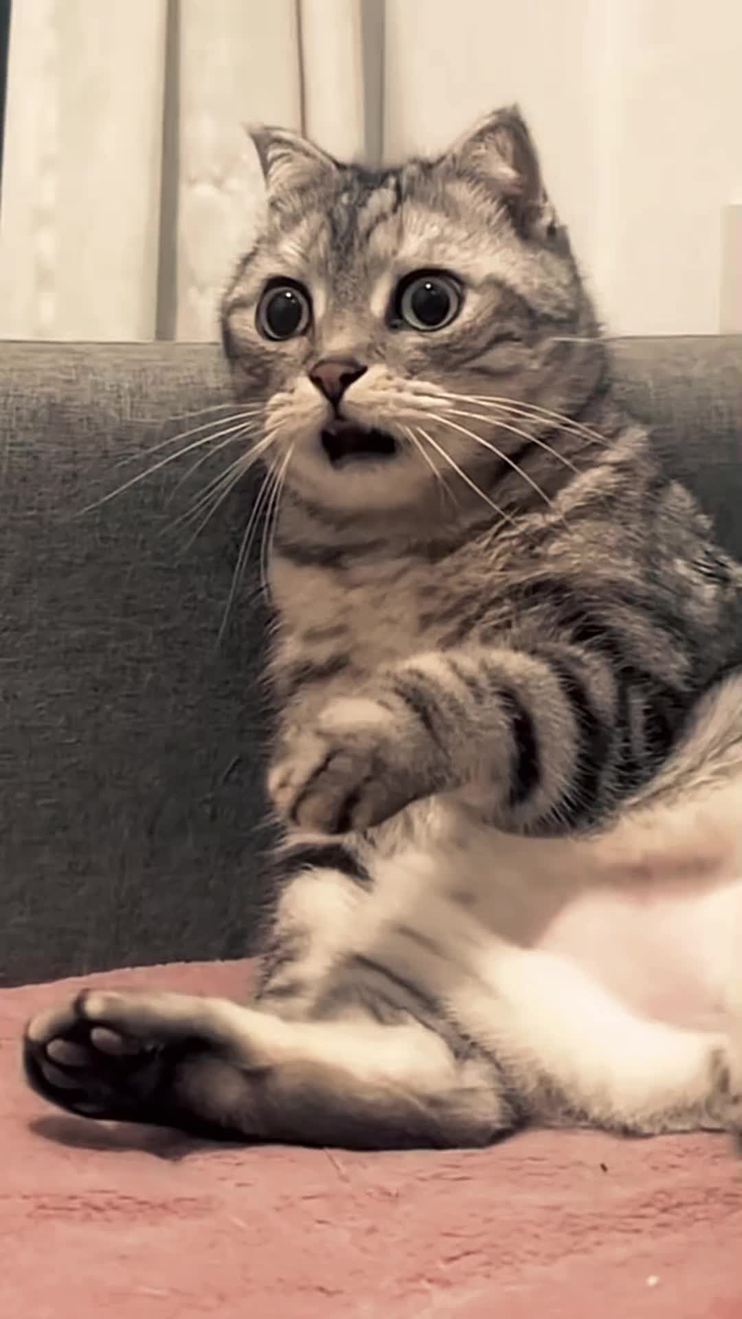 @Lintas Story