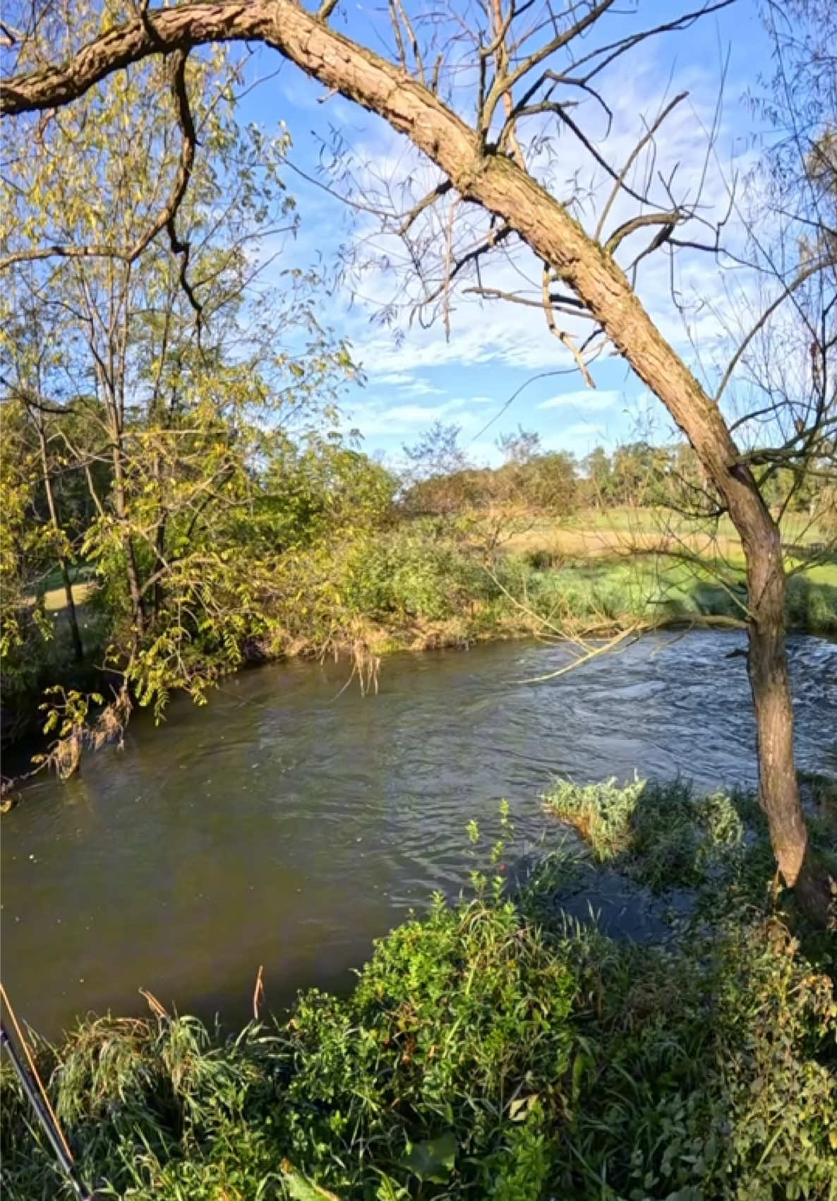 @FlyFishDelawhere