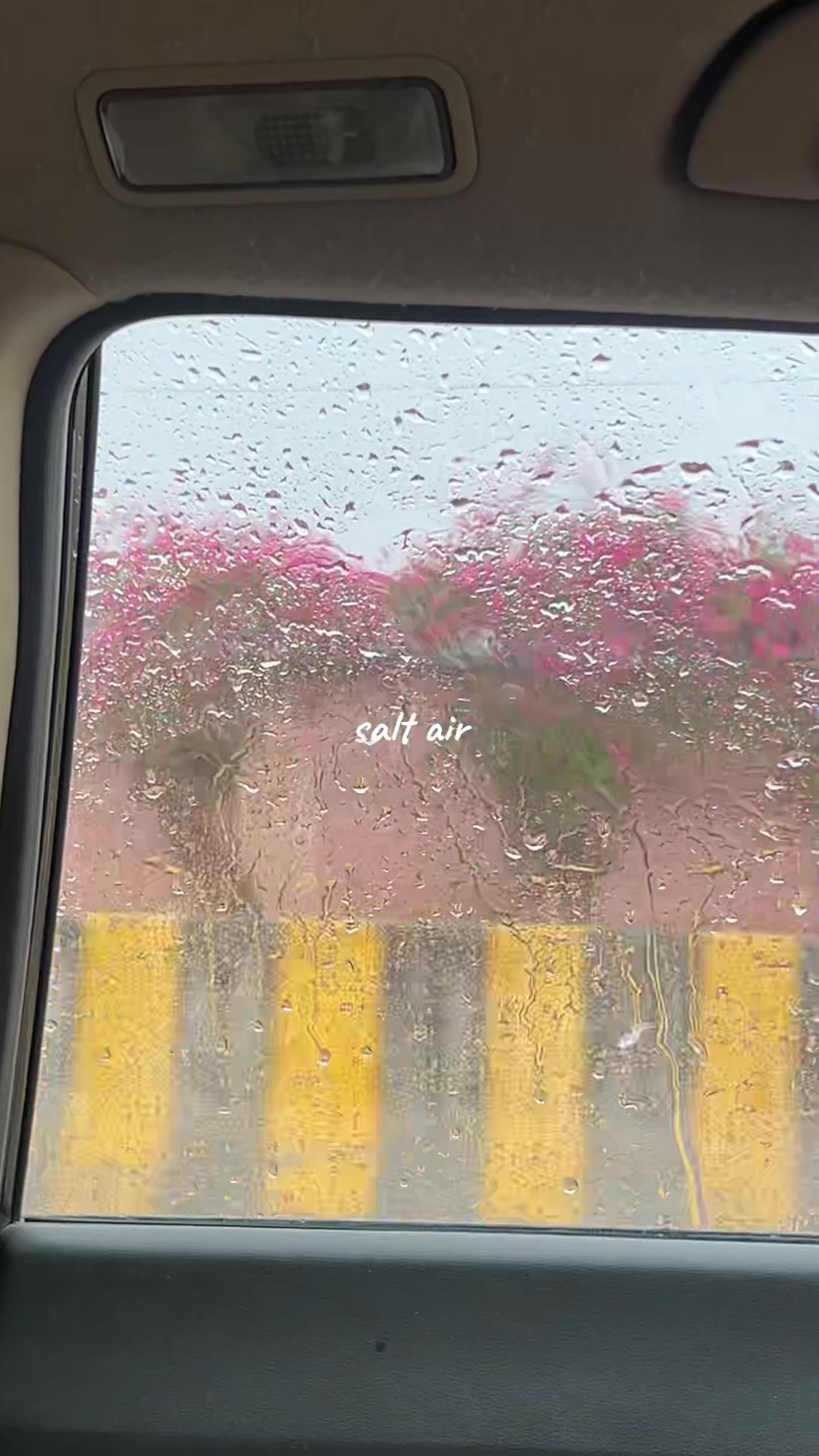 @yumna🌷