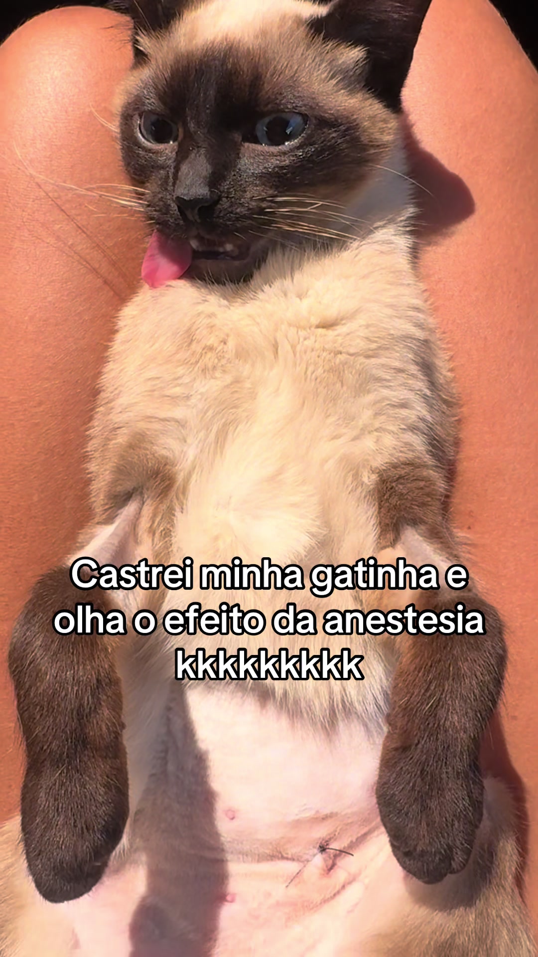 @Taynara Lopes