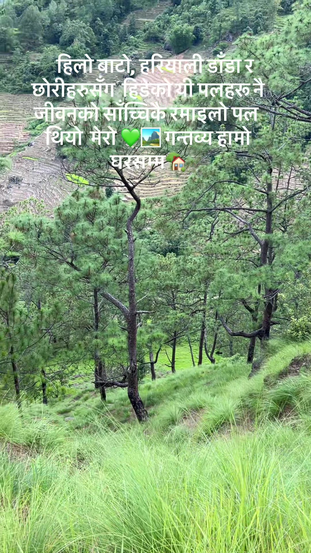 @Anita basnet