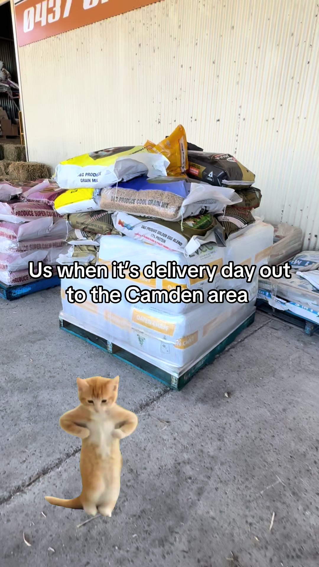 @bringellypetandstockfeed