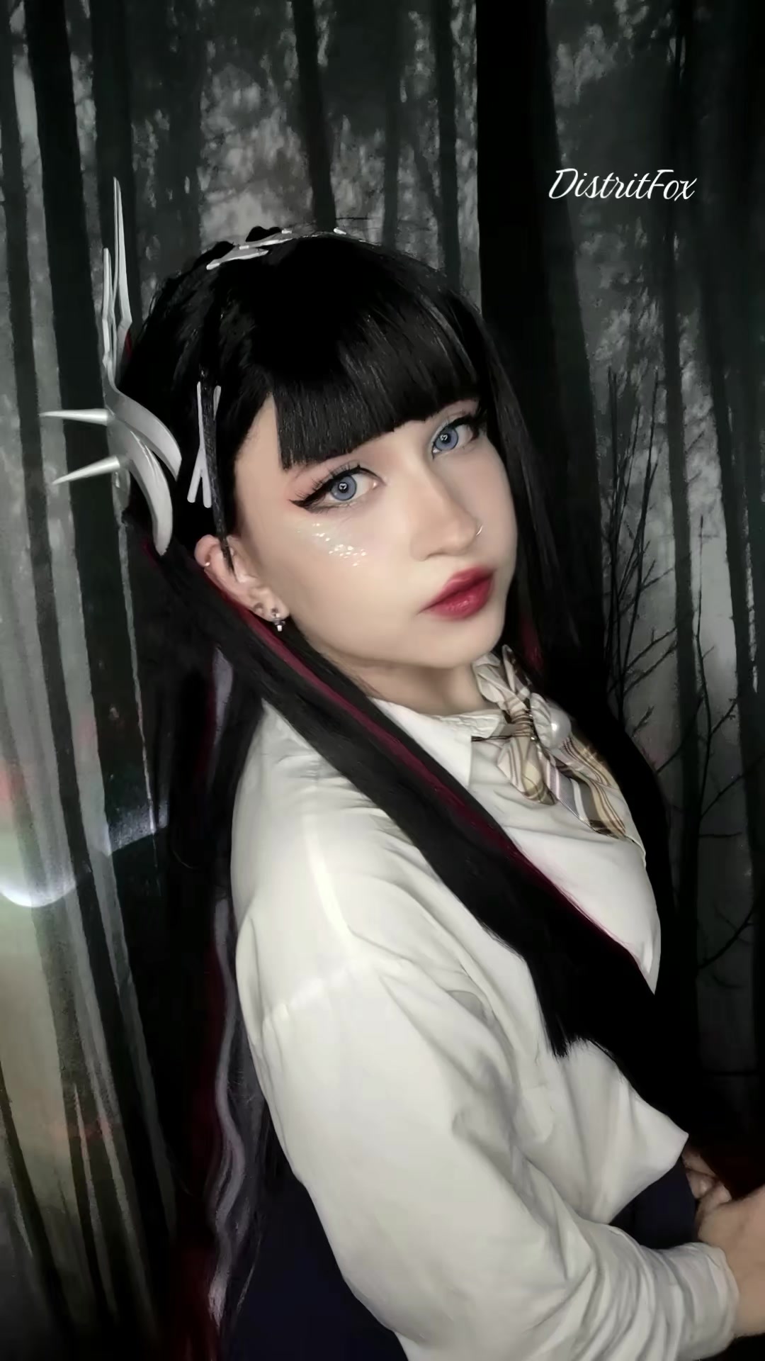 @DistritFox