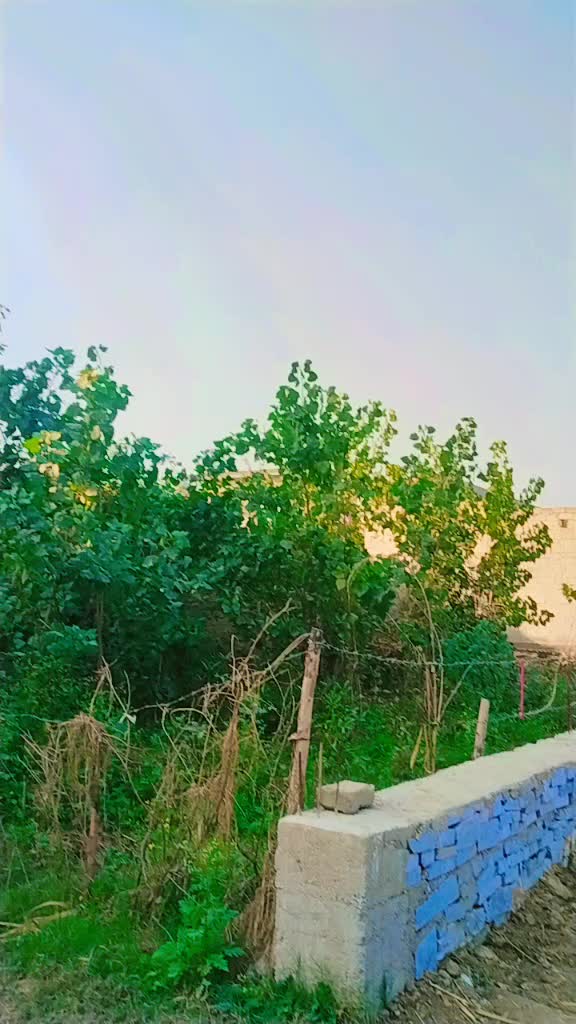@👑 KPK KING 👑