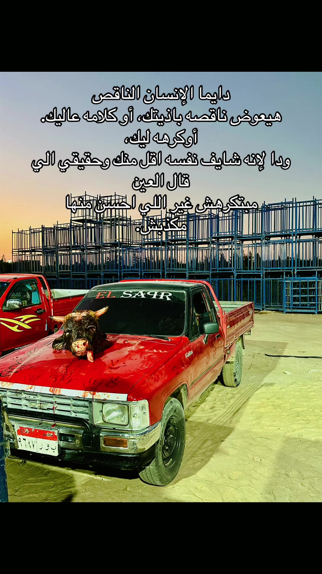 @El saker 123@ ✨🦅